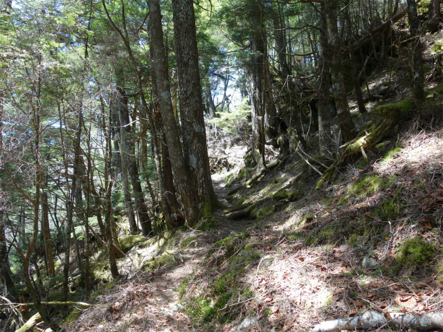 黒金山（西沢渓谷～牛首のタル） 登山口コースガイド【登山口ナビ】