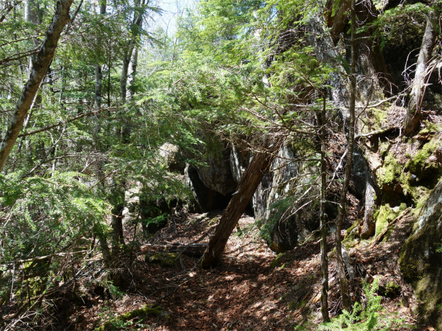 黒金山（西沢渓谷～牛首のタル） 登山口コースガイド【登山口ナビ】