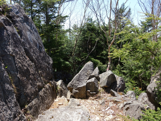 黒金山（西沢渓谷～牛首のタル） 登山口コースガイド 小ピーク【登山口ナビ】