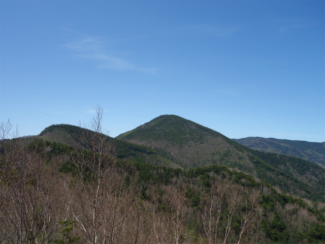 黒金山（西沢渓谷～牛首のタル） 登山口コースガイド 小ピークからの黒金山の眺望【登山口ナビ】