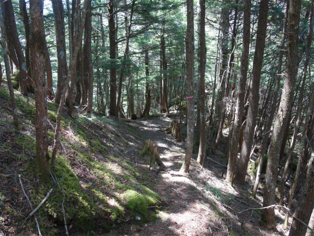 黒金山（西沢渓谷～牛首のタル） 登山口コースガイド アップダウン登山口ナビ】