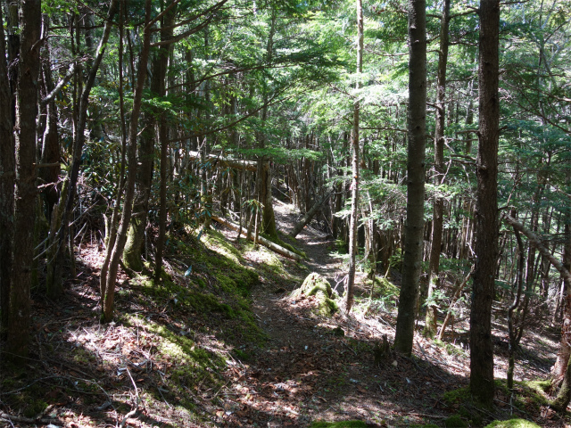 黒金山（西沢渓谷～牛首のタル） 登山口コースガイド 【登山口ナビ】