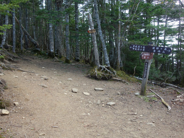 甲武信ヶ岳（毛木平～千曲川源流遊歩道）登山口コースガイド 奥秩父主稜線分岐【登山口ナビ】