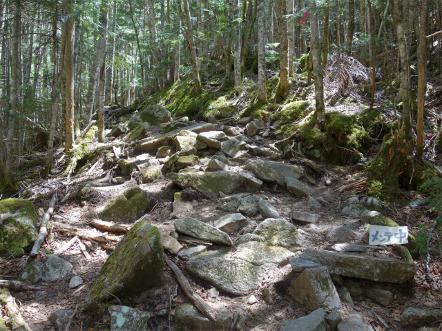 甲武信ヶ岳（毛木平～千曲川源流遊歩道）登山口コースガイド メンテ中【登山口ナビ】