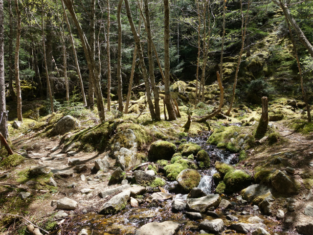 甲武信ヶ岳（毛木平～千曲川源流遊歩道）登山口コースガイド 支沢【登山口ナビ】