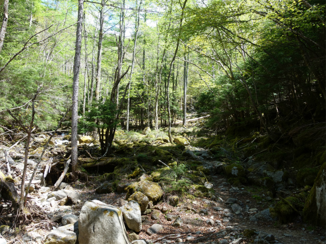 甲武信ヶ岳（毛木平～千曲川源流遊歩道）登山口コースガイド 【登山口ナビ】