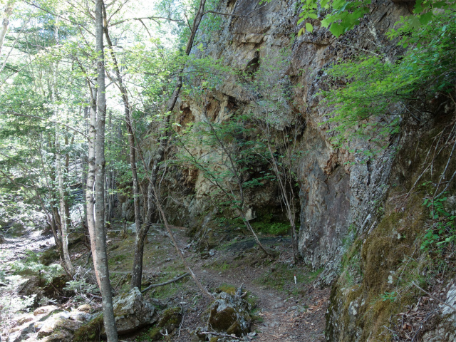 甲武信ヶ岳（毛木平～千曲川源流遊歩道）登山口コースガイド 岩壁下【登山口ナビ】