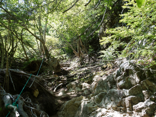 甲武信ヶ岳（毛木平～千曲川源流遊歩道）登山口コースガイド 崩落跡【登山口ナビ】