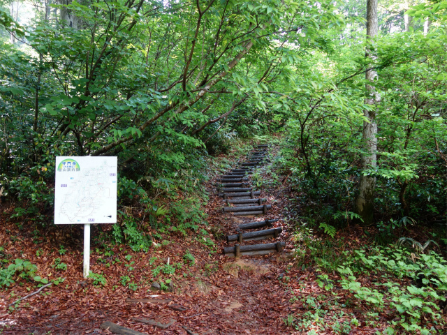 守門岳（保久礼コース）登山口コースガイド 登山道入口【登山口ナビ】