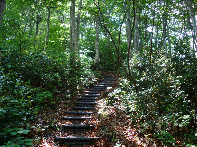 守門岳（保久礼コース）登山口コースガイド 階段【登山口ナビ】