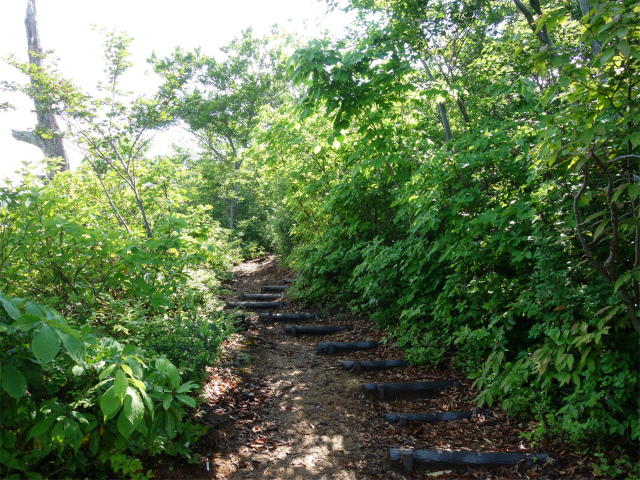 守門岳（保久礼コース）登山口コースガイド 樹林が開けた場所【登山口ナビ】