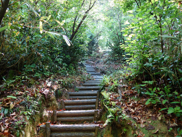 守門岳（保久礼コース）登山口コースガイド 階段【登山口ナビ】