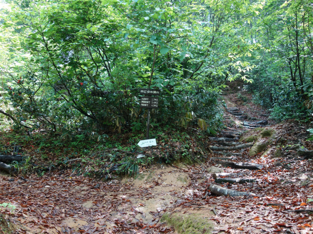 守門岳（保久礼コース）登山口コースガイド キビタキ清水【登山口ナビ】