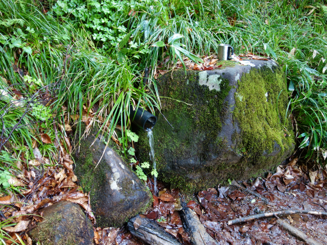 守門岳（保久礼コース）登山口コースガイド キビタキ清水の水場【登山口ナビ】