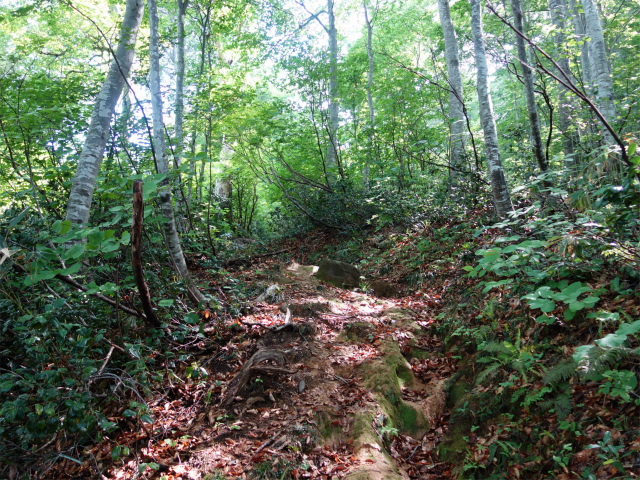 守門岳（保久礼コース）登山口コースガイド 左ルート【登山口ナビ】