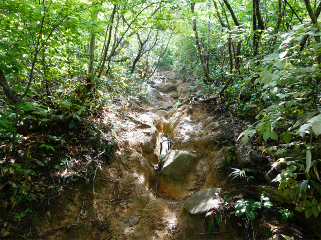 守門岳（保久礼コース）登山口コースガイド えぐれた登山道【登山口ナビ】