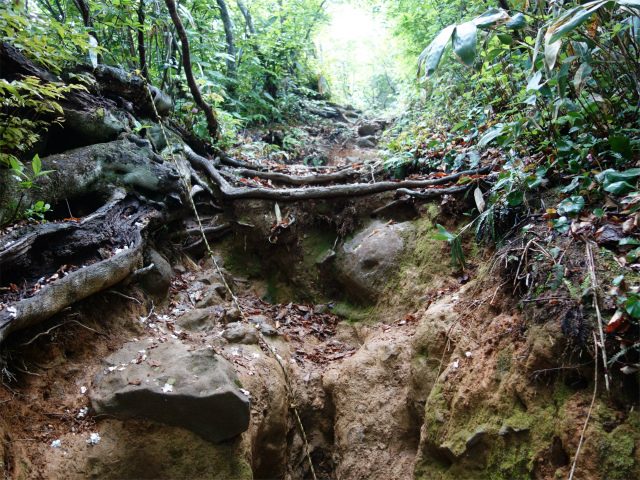 守門岳（保久礼コース）登山口コースガイド 急登【登山口ナビ】