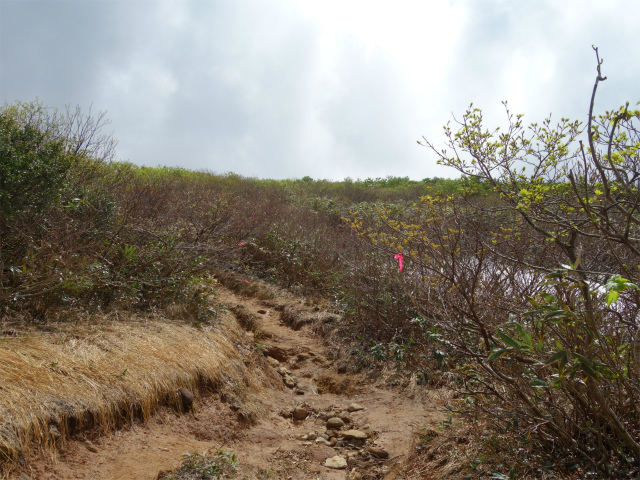 守門岳（保久礼コース）登山口コースガイド 天狗岩屋清水分岐【登山口ナビ】