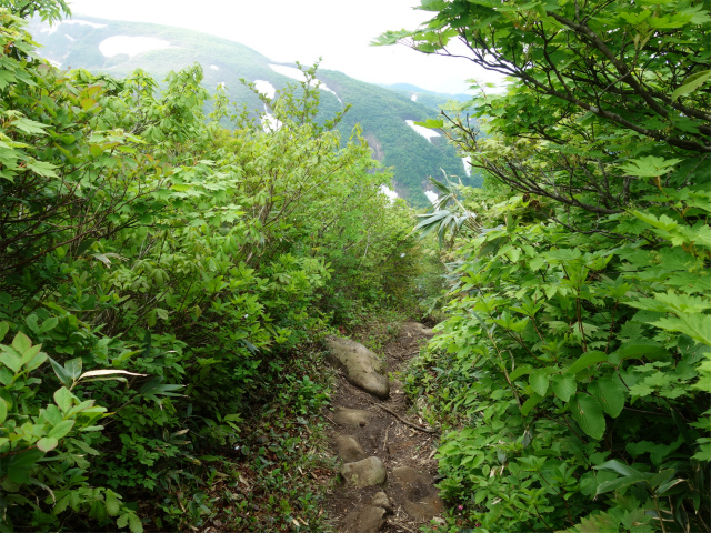 守門岳（保久礼コース）登山口コースガイド 急斜面【登山口ナビ】