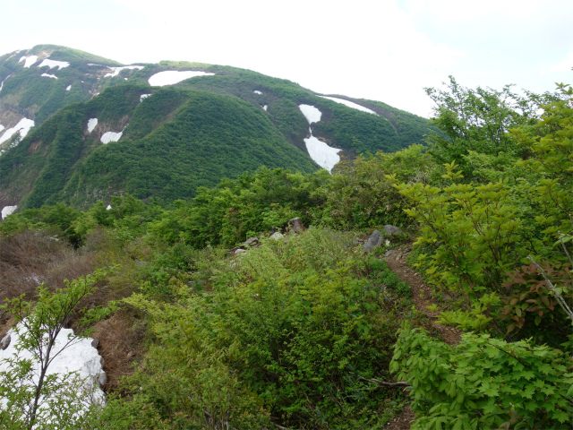 守門岳（保久礼コース）登山口コースガイド 露岩【登山口ナビ】