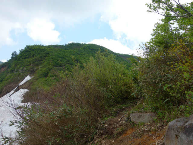 守門岳（保久礼コース）登山口コースガイド 鞍部【登山口ナビ】