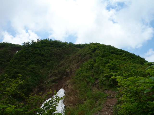 守門岳（保久礼コース）登山口コースガイド 登り返し【登山口ナビ】