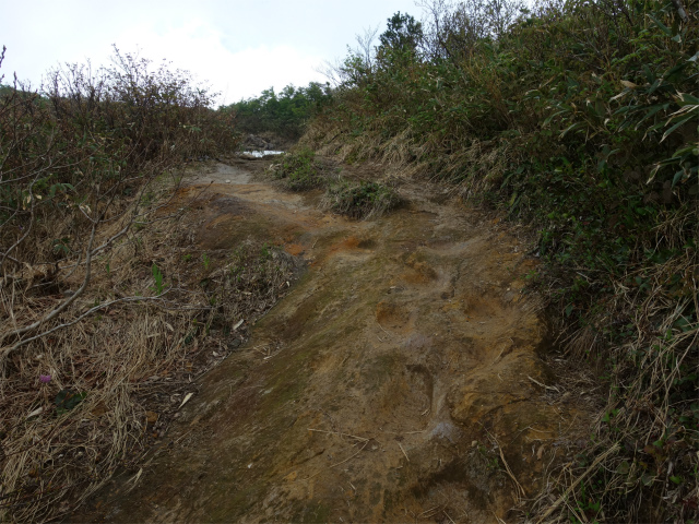 守門岳（保久礼コース）登山口コースガイド 急坂【登山口ナビ】