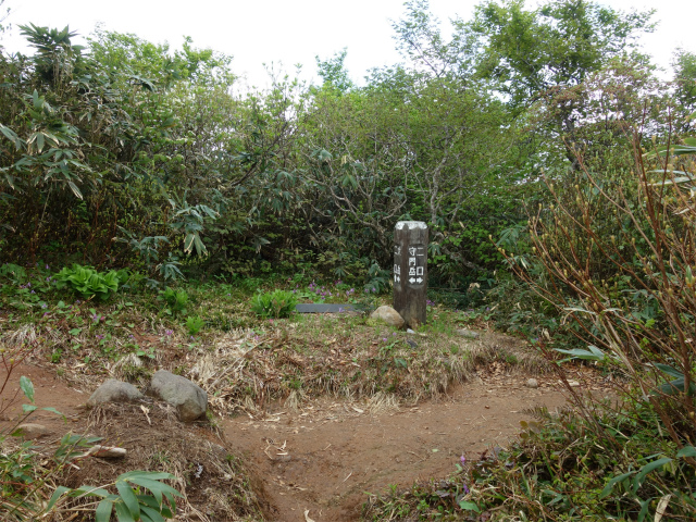 守門岳（保久礼コース）登山口コースガイド 二口コース分岐【登山口ナビ】