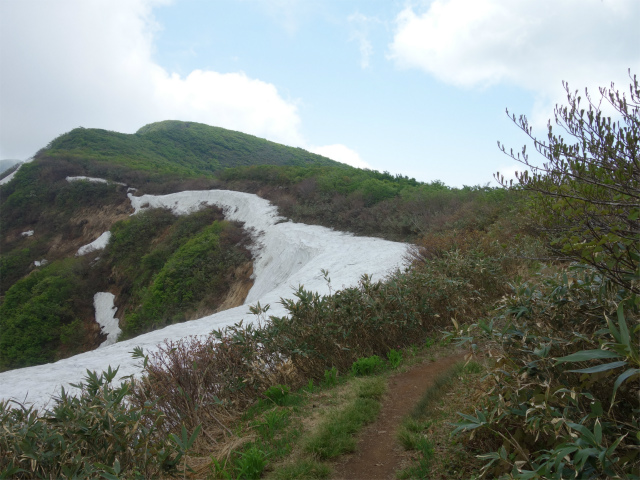 守門岳（保久礼コース）登山口コースガイド なだらかな稜線【登山口ナビ】