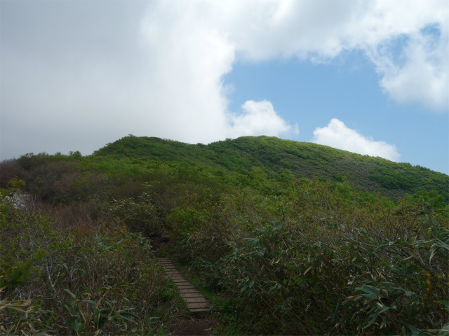 守門岳（保久礼コース）登山口コースガイド 木道【登山口ナビ】