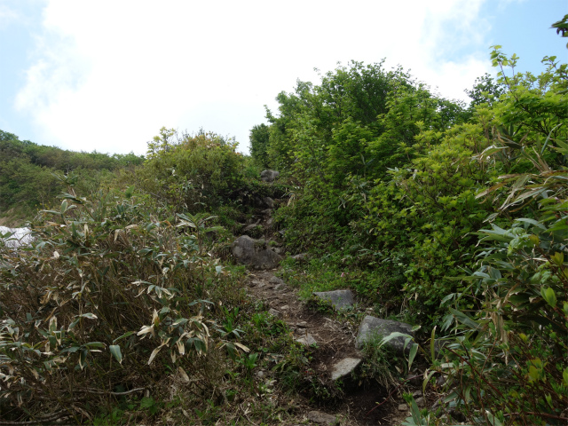 守門岳（保久礼コース）登山口コースガイド 青雲岳直下【登山口ナビ】