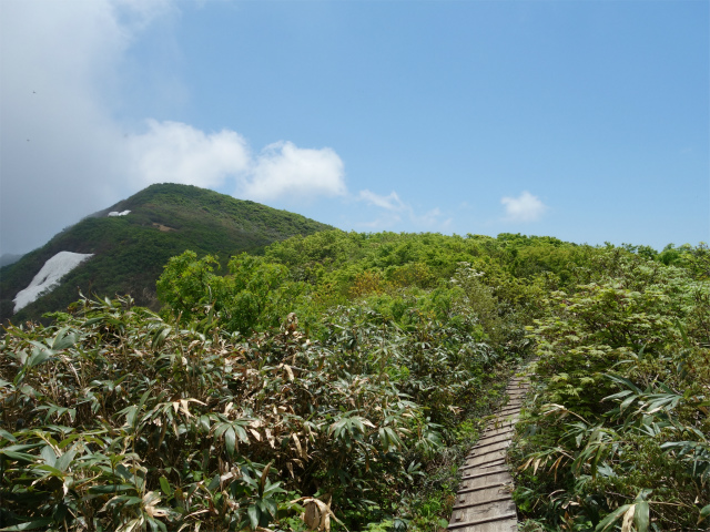 守門岳（保久礼コース）登山口コースガイド 鞍部から登り返し【登山口ナビ】