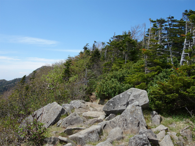 八ヶ岳・権現岳（天女山～三ツ頭）登山口コースガイド 露岩【登山口ナビ】