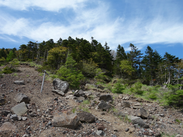 八ヶ岳・権現岳（天女山～三ツ頭）登山口コースガイド【登山口ナビ】