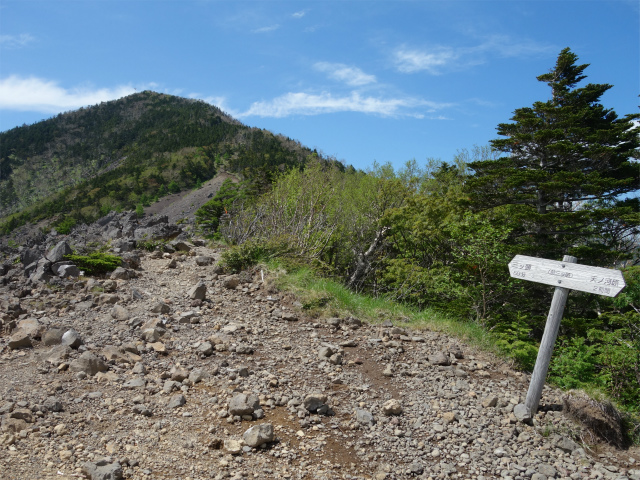 八ヶ岳・権現岳（天女山～三ツ頭）登山口コースガイド 開けた稜線【登山口ナビ】