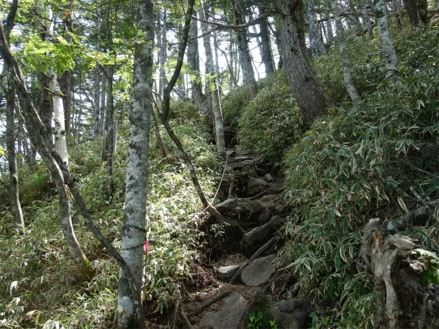 八ヶ岳・権現岳（天女山～三ツ頭）登山口コースガイド 急斜面【登山口ナビ】