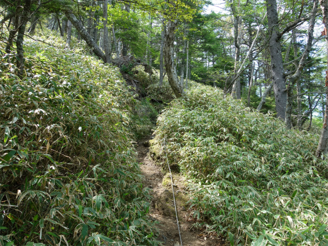 八ヶ岳・権現岳（天女山～三ツ頭）登山口コースガイド ロープの急登【登山口ナビ】