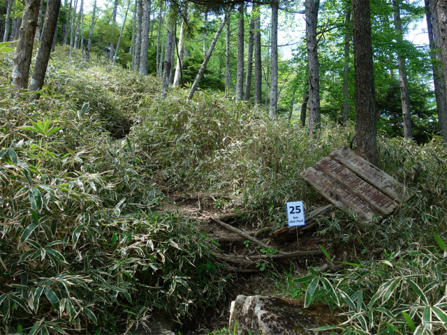 八ヶ岳・権現岳（天女山～三ツ頭）登山口コースガイド 標高2000mの案内板【登山口ナビ】