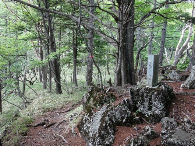 八ヶ岳・権現岳（天女山～三ツ頭）登山口コースガイド 1859m小ピーク【登山口ナビ】