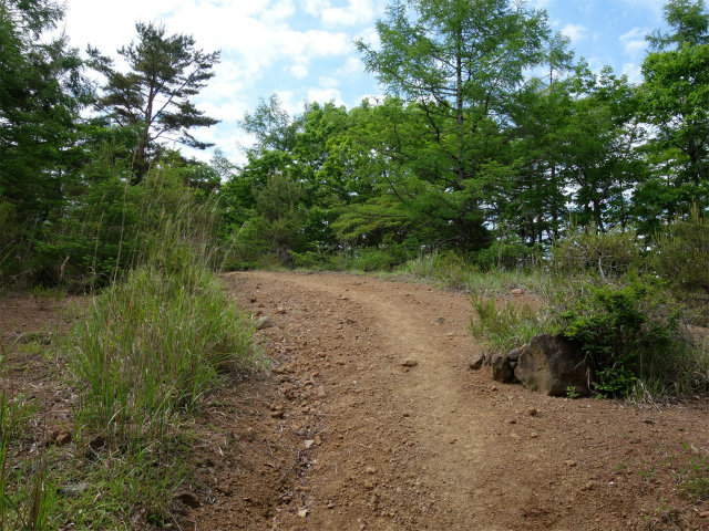 八ヶ岳・権現岳（天女山～三ツ頭）登山口コースガイド【登山口ナビ】