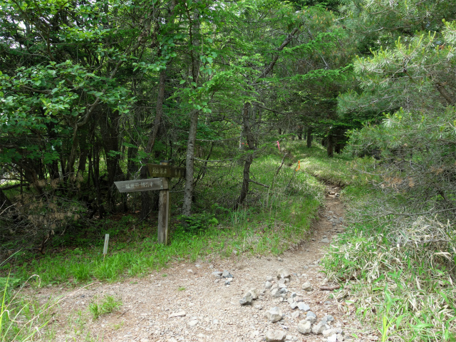 八ヶ岳・権現岳（天女山～三ツ頭）登山口コースガイド 八ヶ岳横断歩道分岐【登山口ナビ】