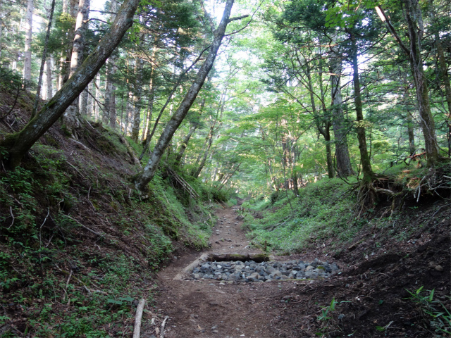 富士山 剣ヶ峰（馬返口/吉田ルート）登山口コースガイド 切通し状の登山道【登山口ナビ】