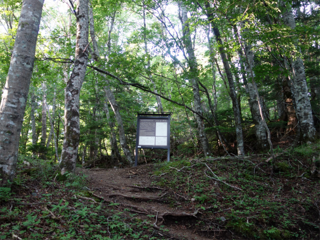 富士山 剣ヶ峰（馬返口/吉田ルート）登山口コースガイド 一合五勺レッキス跡地【登山口ナビ】