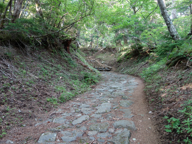 富士山 剣ヶ峰（馬返口/吉田ルート）登山口コースガイド 石畳と階段【登山口ナビ】