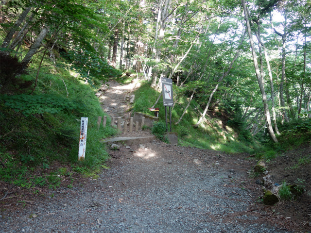 富士山 剣ヶ峰（馬返口/吉田ルート）登山口コースガイド 細尾野林道終点【登山口ナビ】