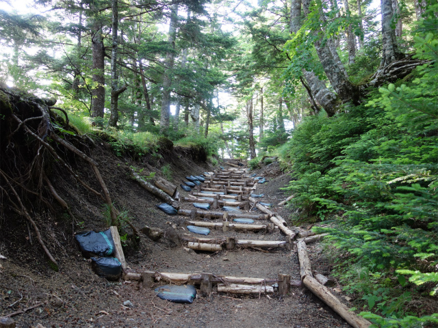 富士山 剣ヶ峰（馬返口/吉田ルート）登山口コースガイド 緩やかな階段【登山口ナビ】