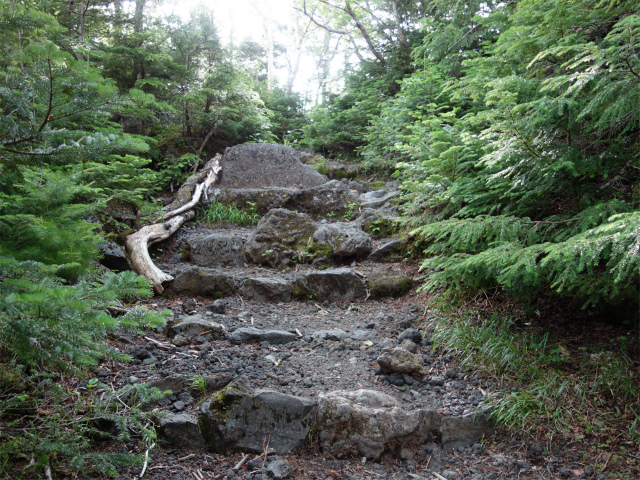 富士山 剣ヶ峰（馬返口/吉田ルート）登山口コースガイド 石の階段【登山口ナビ】