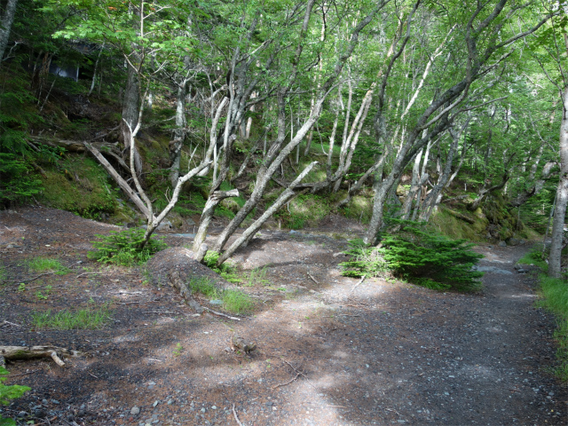 富士山 剣ヶ峰（馬返口/吉田ルート）登山口コースガイド 五合目早川館跡【登山口ナビ】