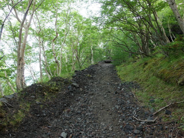 富士山 剣ヶ峰（馬返口/吉田ルート）登山口コースガイド【登山口ナビ】