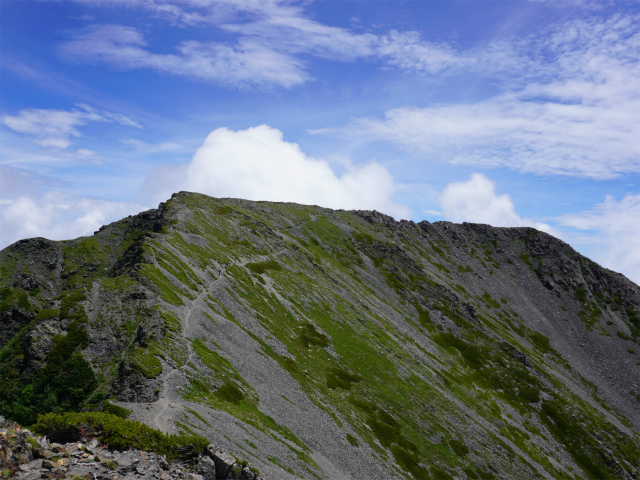 農鳥岳（奈良田～大門沢～西農鳥岳）登山口コースガイド【登山口ナビ】